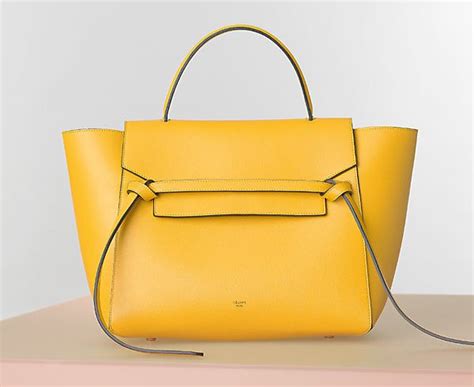 celine belt bag sunflower|celine belt bag sale.